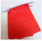 AZ FLAG Ghirlanda 6 Metri 20 Bandiere Monocolore Rosso 21x15cm, Bandiera Rossa 15 x 21 cm - Festone Bandierine