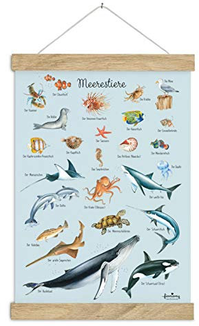 fioniony DIN A3 Poster Kunstdruck MEERESTIERE UNGERAHMT OHNE HOLZLEISTE blau Kinderposter Kinderzimmer Junge Mädchen Baby Geburt Babyzimmer Wandbild Schule Kindergarten Geschenk Druck Bild
