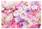 Premium Vliestapete Shabby Rosen mit Glockenblumen Fototapete Vlies, 225x336 cm