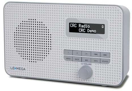 LEMEGA DR1S Tragbares DAB+ Digitalradio,DAB/UKW-Handradio,Bluetooth 5.3,UKW-Radio für die Küche,Doppelalarm,Uhr,Schlummerfunktion,40 Voreinstellungen,Kopfhörerausgang,Netzbetrieb und Batterien,Grau