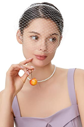 BABEYOND Damen Elegant Fascinator Schleier Haarreif 1920s Stirnband Hochzeit Cocktail Party Mystische Maske Haarreif Damen Halloween Fasching Kostüm Accessoires