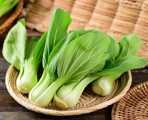 1100 Shanghai Pak Choi, Bok Choy Seeds - Delicious Chinese Vegetable