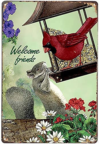 Blechschild „Welcome Friend, Cardinal Bird & Eichhörnchen“, Vintage-Retro-Metallschild, Poster, Eisenkunst, Dekoration, Heim- und Gartendekoration, 20,3 x 30,5 cm