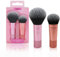 Pinceau Maquillage,Pinceau Blush,Pinceau Poudre,2 Set Pinceaux Maquillage,Cheveux SynthéTiques,Pour Poudre Libre,à La Poudre PresséE,à La Poudre Blush,Pour Maquillage Professionnel Et Aux DéButants