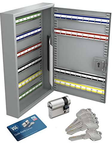 BASI | Schlüsselschrank mit passenden Profil-Halbzylinder 10/30 mm | Schlüsselkasten mit 100 Haken | Hakenleisten verstellbar und nummeriert | H550xB380xT80mm | Stahl | Farbe grau