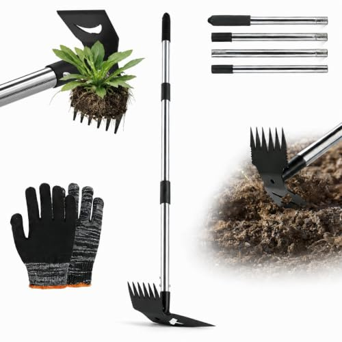 TCETCY Extracteur de Mauvaises Herbes avec Long Manche Outil de Désherbage Manuel 2 en 1 Outil de Désherbage de Jardin Outils Manuel Arrache Racine sans Se Baisser pour Cour, Pelouse, Terrasse, Jardin