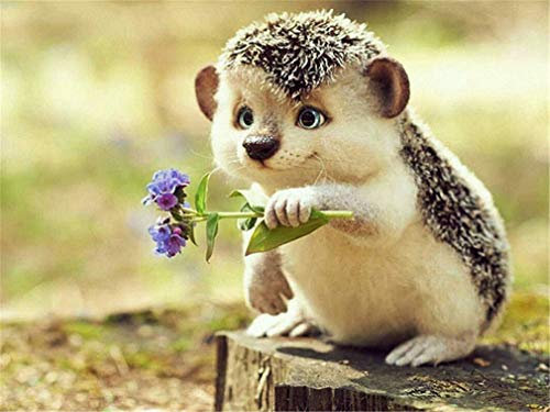 Nicole Knupfer 5D DIY Igel Diamond Painting, Süße Tiere Diamant Painting Handwerk, Vollbohrer Gemälde für Home Wall Décor, 40x30cm (Igel6)