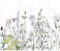decomonkey - Papier Peint Panoramique Fleurs 400x280 cm - Décoration murale – Tapisserie pour chambre salon - Fleurs fraîches couleurs de la nature tendances plantes fleurs prairie champs colorés