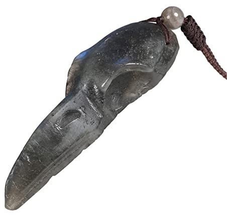 Nupuyai Labradorit Stein Anhänger Rabenschädel Kette für Damen und Herren, Kristall Edelstein Krähe Halskette Heilstein Glücksbringer Amulett Hexe Krähe Schmuck