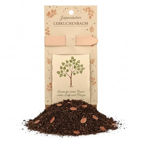 Anzuchtset Japanischer Lebkuchenbaum – Pflanzset mit Bio-Erde, Saatgut & Holzstäbchen – nachhaltige Geschenkidee für Adventskalender, Weihnachten, Wichteln, Nikolaus & kleine Aufmerksamkeit