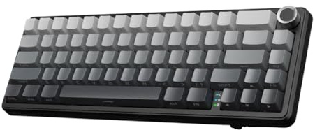 CGCZTQmgh 66 Key Wireless Mechanical Keyboard With Knob Tri Mode Gasket Hot Swap RGB 60 Percent Layout PBT Keycap Compatible With X66(Silver)