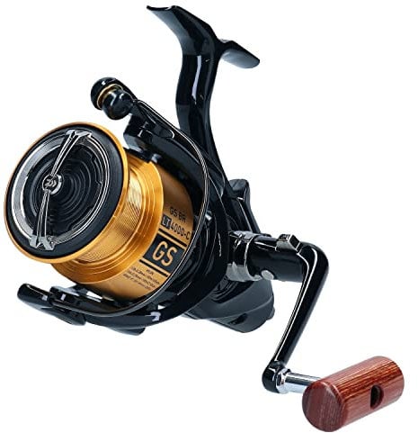 DAIWA 20 GS BR LT 5000-C