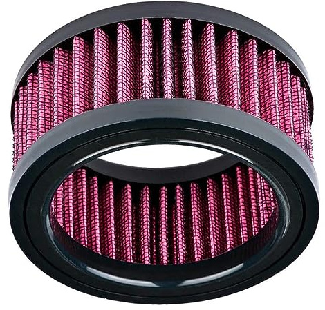 KACEPAR Elemento filtrante dell'aria per moto, elemento filtro dell'aria per moto adatto per H/a*rley Sportster Iron XL 883 XL1200 Sport Nightster 72 Forty-Eight 1991-2021
