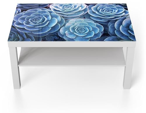 DEQORI Glastisch | weiß groß 90x50 cm | Motiv Blaue Sukkulentenpracht | ausgefallener Beistelltisch aus Glas | Hochglanz Couchtisch fürs Wohnzimmer | moderner Couch Tisch mit Design