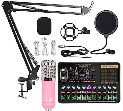 Soundkarten-Kit BM800 Mixer Soundkarte Studio Audiomixer Gesang Rauschunterdrückung Mikrofon Stimme Live-Übertragung Telefon Computer Aufnahme Studio-Setup für (Set A2 1)