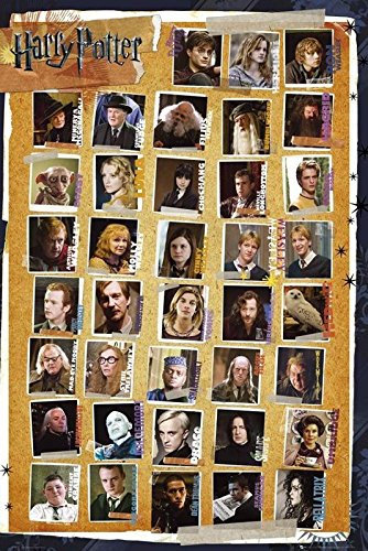 Harry Potter und die Heiligtümer des Todes Poster (61cm x 91,5cm) + 2 St. transparente Posterleisten mit Aufhängung