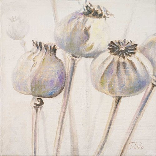 Feeling at home KUNSTDRUCK auf MATTE PAPIER 220gr Mohn Samen I Pinto Patricia - Blumen quadrat Poster Mohn weiß Bild auf Papier cm_90_X_90