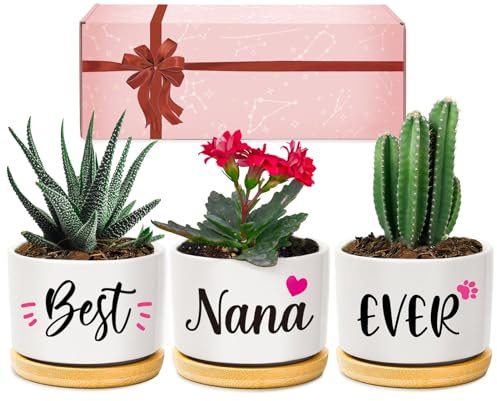 Giftasy Nana Gifts, Nana Birthday Gifts, Best Nana Ever Succulent Pots Gifts for Nana from Grandchildren, Unique Garden Gift Ideas for Nana on Mother's Day Christmas