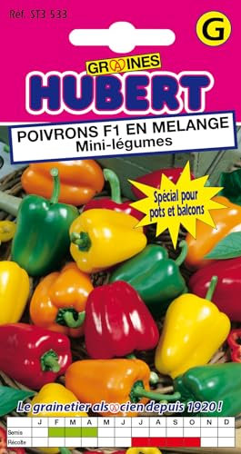 10 Graines de Mini-Poivrons F1 en Mélange