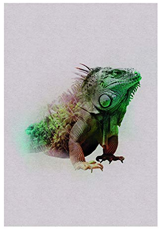 Komar Wandbild | Animals Paradise Iguana | Poster, Bild, Wohnzimmer, Schlafzimmer, Dekoration, Kunstdruck | ohne Rahmen | P083C-50x70 | Größe: 50 x 70 cm (Breite x Höhe)
