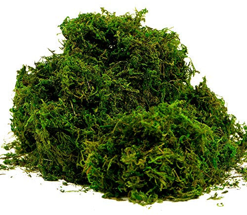 BYHER Künstliches Moos, künstliches grünes Gras für Tafelaufsätze, Zuhause, Küche, Garten, Dekoration (237 ml, frisch)