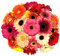 Blumenstrauß, bunter Blumenstrauß, Inklusive gratis Grußkarte, Flower bouquet, Fresh flowers, Cut flowers, Gift for Women, Fresh Flower, Gift for Valentine's Day, Birthday, Mixed Gerbera
