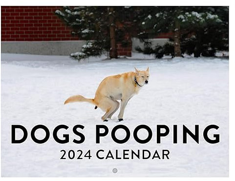 Pooping Dogs Calendar 2024, Lustiger Kackende Hunde Kalender 2024, Dogs Pooping In Beautiful Places Calendar, Humor lustiger Wandkalender, Wand Kunst Gag Humor Geschenk Streich Kalender 25x19cm