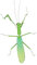 TOYANDONA Macetas Decorativas Estatuilla De Jardín Estatuilla De La Estatua Estatuilla De Maceta Figura En Miniatura Decoración De Macetas De Bonsái Planchar Green