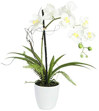 EUROPALMS Orchideen-Arrangement 1, künstlich | Orchidee im Dekotopf