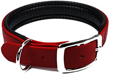 LENNIE BioThane Halsband, gepolstert, Dornschnalle, 25 mm breit, Größe 38-46 cm, Rot, Aufdruck möglich