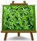 Mentha Spicata Mojito - Minze aromatische Pflanze auf Topf 14