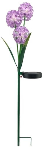 Solarlampe Allium LED Außen Gartendeko 3 Blüten lila - Gartenstecker Solar Blumenstecker Beleuchtung Deko für draußen Garten Balkon - Wetterfeste Solarleuchte Hortensie Gartenfigur Blume