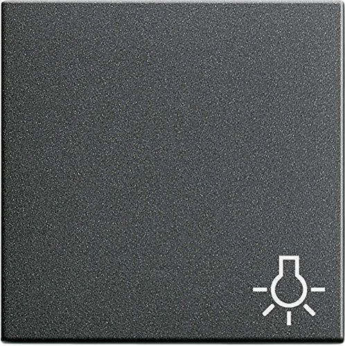 Gira Wippe Licht anth 028528