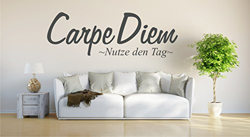 INDIGOS UG - Wandtattoo Wohnzimmer - Wandaufkleber Carpe Diem - Genieße den Tag - 120cm x 37cm anthrazit E947 - Aufkleber Kinderzimmer Schlafzimmer Küche Badezimmer Büro Dekoration
