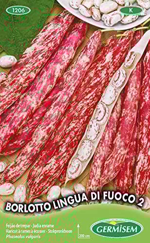Germisem Borlloto Lingua di Fuoco 2 Semi di Fagiolo Rampicante 100 g