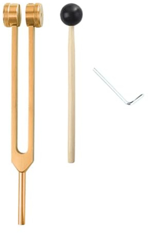 Joselin L69A 256 Hz Tuning Fork Medical-Healing Instrument with Hammer A Repair Tool Human Biofield Diapa Son(Gold) Easy Install