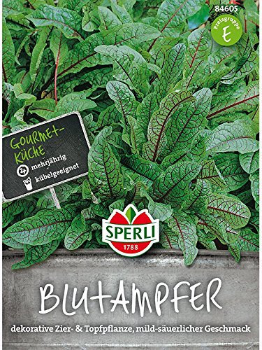 Blutampfer SPERLING`s Essbare Staude