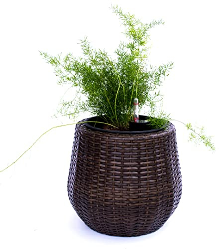 Elegant Einrichten Pflanzkübel Polyrattan D35xH32cm Mocca