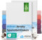 etérea Jersey 2er Set Spannbettlaken 80x200cm Weiss bis 20 cm Höhe - 100% Baumwolle Spannbetttuch Oekotex - Kinder Spannbettlaken Bed Sheets - Doppelpack Bettlaken 80x200 cm - White