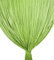Tenda Mariel Soffice a Perline in Stoffa Anti Insetti e Antirumore - Modificabile - Colore Verde - Cm. 140x230