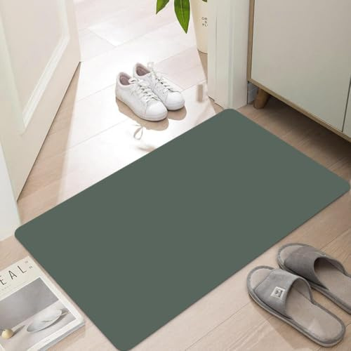 LYGLIGH Ultra Thin Door Mat Indoor Entrance, 1/10 in Thin Door Mats for Inside Entry, Non-Slip Rubber Backing Washable Doormat, Fade Resistant, Absorbent, Low Profile Dirt Trapper, 30X17, Green