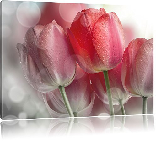 Pixxprint Wunderschöne Tulpen, Größe: 80x60cm, Leinwandbild, fertig gespannt, Wandbild, Dekoration, Kunstdruck, kein Poster