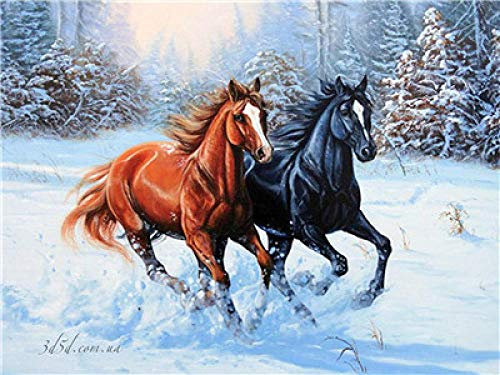 Peinture par Numero 40x50cm Modèle Animal Cheval Numero D Art Toile Peinture Canevas Peinture Enfant Kits avec Brosses et Acryliques de Peinture pour Adultes sans Cadre