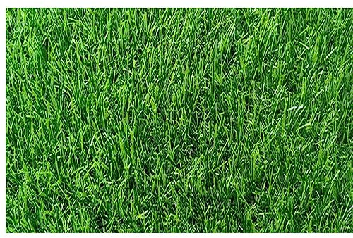 Rasenteppich Outdoor, Kunstrasenteppich Outdo, Kunstrasen Teppich, Rasen für Balkon, Terrasse & Garten, Premium Kunstrasen für Hunde Indoor Outdoor (2x29m/6.6x95.1ft)