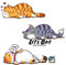 BYNYXI 3er Set Katzen Auto Aufkleber, Lustige Katzen Aufkleber Heckscheibe Cartoon Tier Katze Kätzchen Sticker Katze Pfoten Wasserdicht Cat Aufkleber Fenstersticker für Auto Motorrad Laptop Fahrrad