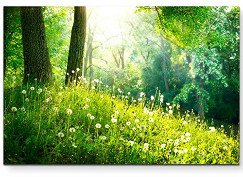 Eau Zone Wandbild auf Leinwand 120x80cm Pusteblumen im Wald
