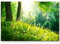 Eau Zone Wandbild auf Leinwand 120x80cm Pusteblumen im Wald