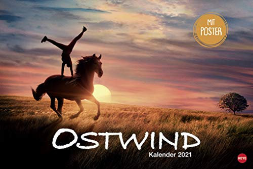 Ostwind Broschurkalender XL - Kalender 2021 - Wandkalender mit Poster - 45cm x 30 cm (offen 45 cm x 60 cm)