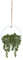 Hobyhoon Plantas colgantes de suculentas artificiales, cadena de perlas falsas de 12.2 pulgadas en maceta de madera para decoración de pared interior y exterior (1 unidad)