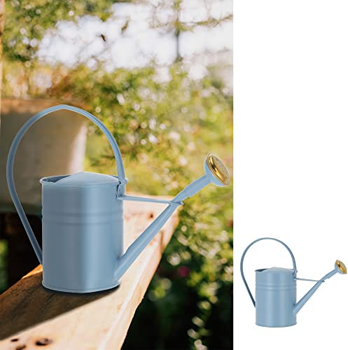 Giesskanne 1Liter hellblau | Stahlblech verzinkt 10,5x22x30cm | Kanne Wasserkanne Gartenzubehör (1 x Gießkanne hellblau)